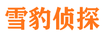 武宣市私家侦探